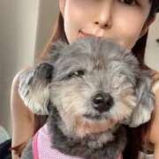 ヒメ日記 2026/04/17 11:28 投稿 藤谷香文 ローテンブルク