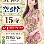 ヒメ日記 2026/10/13 20:27 投稿 藤谷香文 ローテンブルク