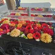 ヒメ日記 2025/02/17 11:01 投稿 鳴沢ひろこ ローテンブルク