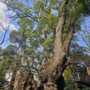 ヒメ日記 2025/02/21 23:32 投稿 鳴沢ひろこ ローテンブルク