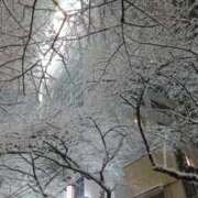 ヒメ日記 2025/03/04 23:25 投稿 鳴沢ひろこ ローテンブルク