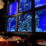 ヒメ日記 2025/04/19 00:54 投稿 鳴沢ひろこ ローテンブルク