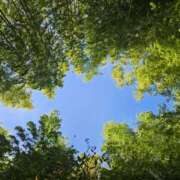 ヒメ日記 2025/12/04 16:35 投稿 鳴沢ひろこ ローテンブルク