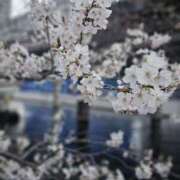 ヒメ日記 2026/03/27 08:57 投稿 鳴沢ひろこ ローテンブルク