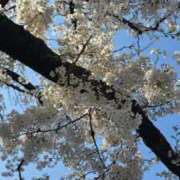 ヒメ日記 2025/03/30 23:42 投稿 相楽ひとみ ローテンブルク