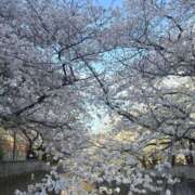 ヒメ日記 2025/04/10 01:29 投稿 相楽ひとみ ローテンブルク