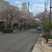 ヒメ日記 2025/04/20 07:03 投稿 相楽ひとみ ローテンブルク