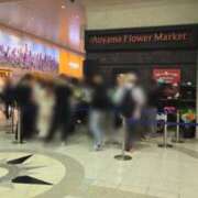 ヒメ日記 2025/05/13 01:11 投稿 相楽ひとみ ローテンブルク