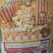 ヒメ日記 2025/10/29 08:32 投稿 相楽ひとみ ローテンブルク