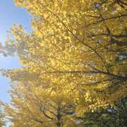 ヒメ日記 2025/11/17 00:02 投稿 相楽ひとみ ローテンブルク