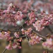 ヒメ日記 2026/02/23 09:16 投稿 相楽ひとみ ローテンブルク