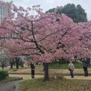 ヒメ日記 2026/02/26 09:41 投稿 相楽ひとみ ローテンブルク