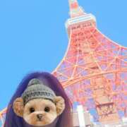 ヒメ日記 2026/10/18 00:00 投稿 相楽ひとみ ローテンブルク