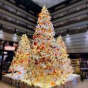 ヒメ日記 2024/12/11 15:03 投稿 森川すみれ ローテンブルク