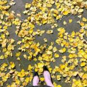 ヒメ日記 2024/12/11 21:41 投稿 森川すみれ ローテンブルク