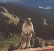 ヒメ日記 2025/02/10 22:37 投稿 森川すみれ ローテンブルク