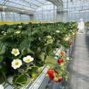 ヒメ日記 2025/02/28 13:27 投稿 森川すみれ ローテンブルク