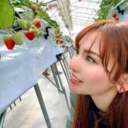 ヒメ日記 2025/02/28 19:19 投稿 森川すみれ ローテンブルク