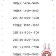 ヒメ日記 2025/03/05 08:00 投稿 森川すみれ ローテンブルク