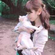 ヒメ日記 2025/03/08 12:05 投稿 森川すみれ ローテンブルク