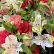 ヒメ日記 2025/03/20 22:29 投稿 森川すみれ ローテンブルク