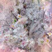 ヒメ日記 2025/03/25 19:02 投稿 森川すみれ ローテンブルク