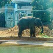 ヒメ日記 2025/03/27 20:31 投稿 森川すみれ ローテンブルク