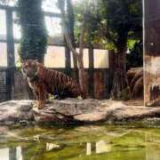 ヒメ日記 2025/03/27 21:12 投稿 森川すみれ ローテンブルク