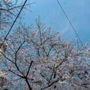 ヒメ日記 2025/03/30 15:30 投稿 森川すみれ ローテンブルク