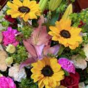 ヒメ日記 2025/04/11 21:20 投稿 森川すみれ ローテンブルク