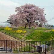 ヒメ日記 2025/04/20 14:03 投稿 森川すみれ ローテンブルク