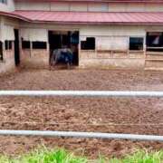 ヒメ日記 2025/04/21 16:36 投稿 森川すみれ ローテンブルク