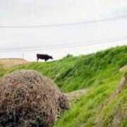 ヒメ日記 2025/04/21 20:21 投稿 森川すみれ ローテンブルク