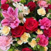 ヒメ日記 2025/05/02 21:29 投稿 森川すみれ ローテンブルク