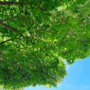 ヒメ日記 2025/05/08 12:45 投稿 森川すみれ ローテンブルク