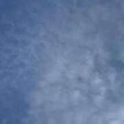 ヒメ日記 2025/06/02 07:44 投稿 森川すみれ ローテンブルク