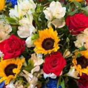 ヒメ日記 2025/06/03 21:15 投稿 森川すみれ ローテンブルク