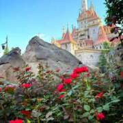 ヒメ日記 2025/06/29 16:00 投稿 森川すみれ ローテンブルク