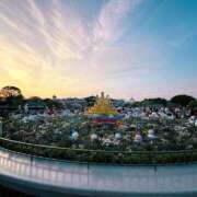 ヒメ日記 2025/06/29 20:00 投稿 森川すみれ ローテンブルク