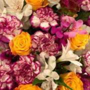 ヒメ日記 2025/09/19 21:01 投稿 森川すみれ ローテンブルク