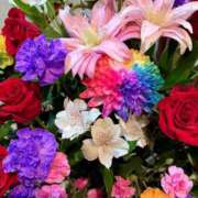 ヒメ日記 2025/10/11 20:45 投稿 森川すみれ ローテンブルク