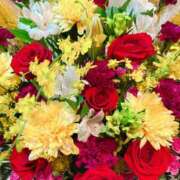 ヒメ日記 2025/10/16 17:02 投稿 森川すみれ ローテンブルク