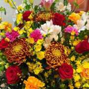 ヒメ日記 2025/11/03 20:15 投稿 森川すみれ ローテンブルク