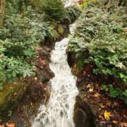 ヒメ日記 2025/11/27 14:02 投稿 森川すみれ ローテンブルク