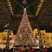 ヒメ日記 2025/12/07 17:30 投稿 森川すみれ ローテンブルク