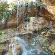 ヒメ日記 2025/12/11 13:30 投稿 森川すみれ ローテンブルク