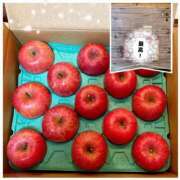 ヒメ日記 2025/12/20 12:01 投稿 森川すみれ ローテンブルク