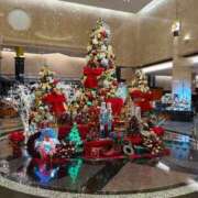 ヒメ日記 2025/12/24 22:15 投稿 森川すみれ ローテンブルク