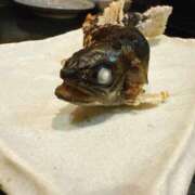 ヒメ日記 2025/12/25 19:02 投稿 森川すみれ ローテンブルク