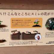 ヒメ日記 2025/12/25 22:34 投稿 森川すみれ ローテンブルク